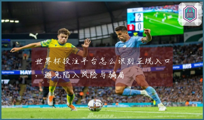 世界杯投注平台怎么识别正规入口，避免陷入风险与骗局