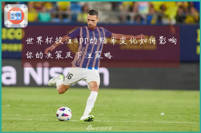世界杯投注app的赔率变化如何影响你的决策及下注策略