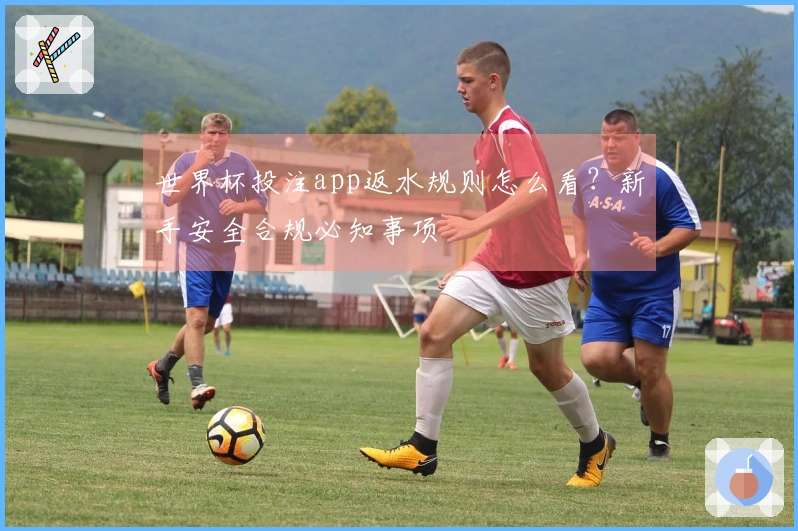 世界杯投注app返水规则怎么看？新手安全合规必知事项