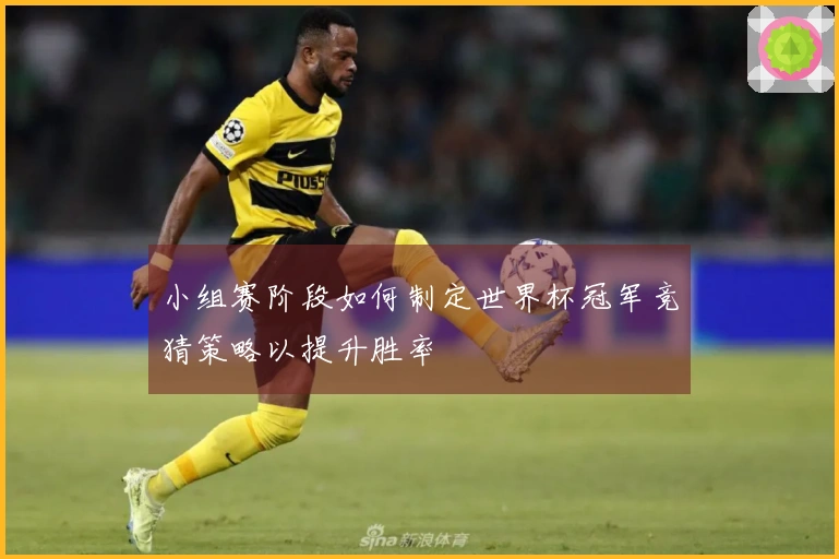 小组赛阶段如何制定世界杯冠军竞猜策略以提升胜率
