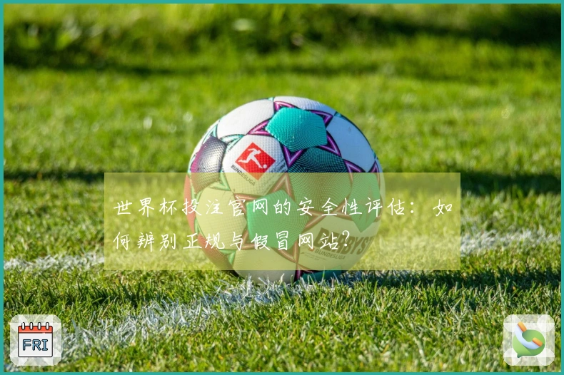 世界杯投注官网的安全性评估：如何辨别正规与假冒网站？